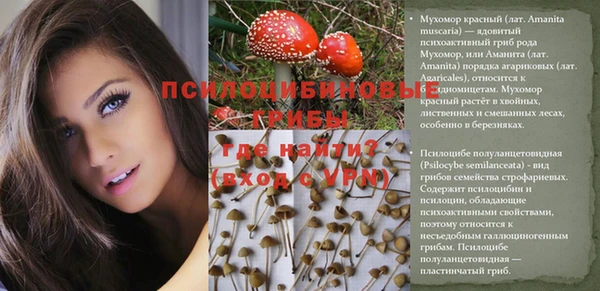 мескалин Алексин