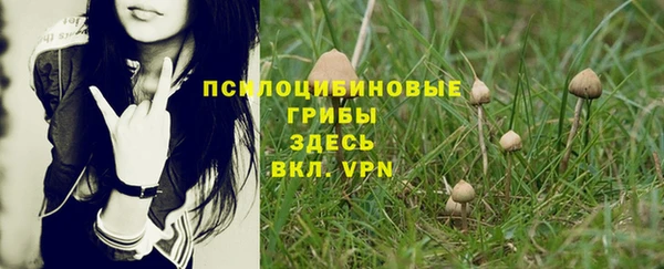 эйфоретик Алексеевка