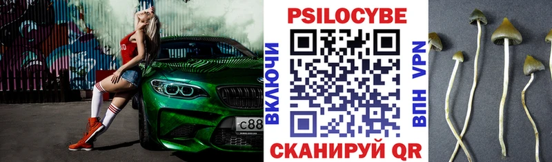 Псилоцибиновые грибы Cubensis  Курск 