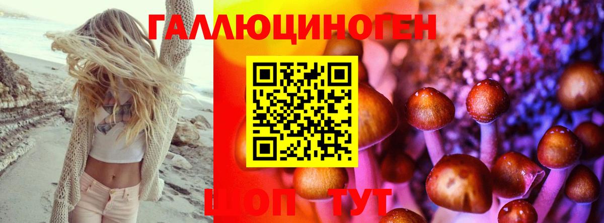 Псилоцибиновые грибы Magic Shrooms Курск