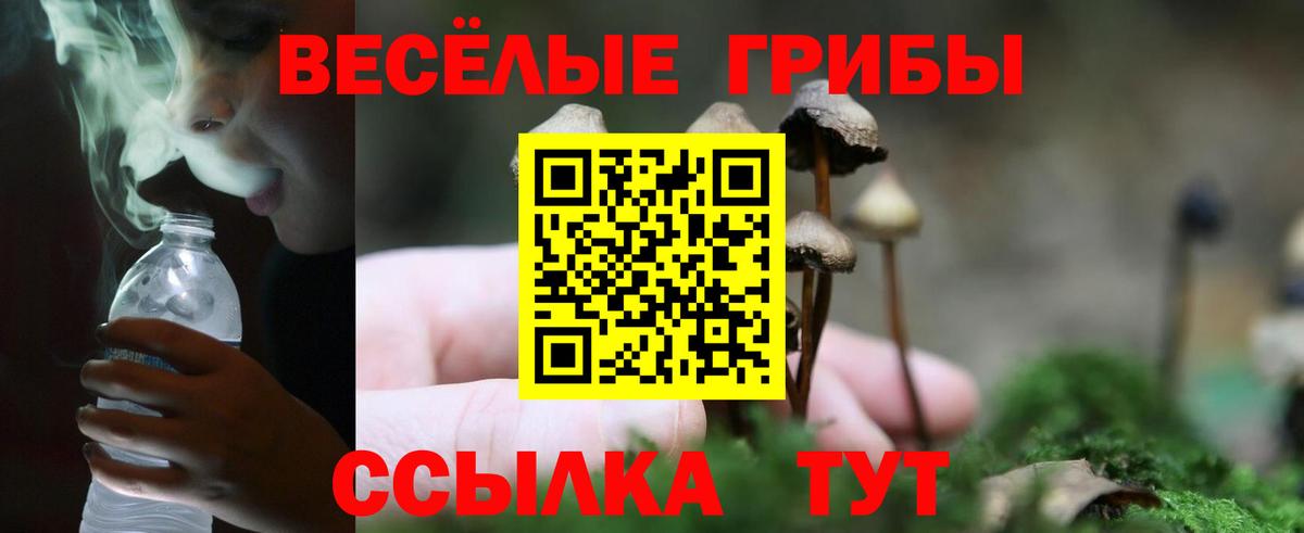 Курск  Галлюциногенные грибы мухоморы  Вход с VPN 
